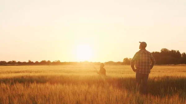 Farmer His Son Front Sunset Agricultural Landscape Man Boy Countryside — Φωτογραφία Αρχείου