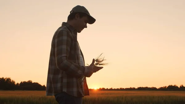 Farmer Front Sunset Agricultural Landscape Man Countryside Field Concept Country — Foto Stock