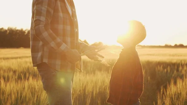 Farmer His Son Front Sunset Agricultural Landscape Man Boy Countryside — стоковое фото