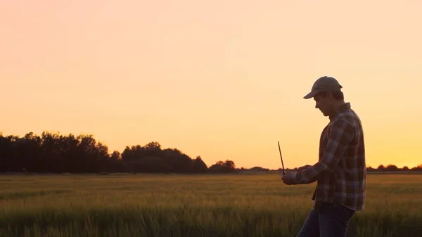 Фермер Ноутбуком Перед Сільськогосподарським Ландшафтом Заході Сонця Людина Сільській Місцевості — стокове фото