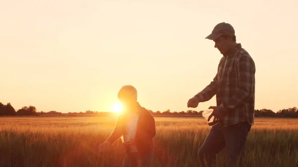 Farmer His Son Front Sunset Agricultural Landscape Man Boy Countryside — Foto de Stock