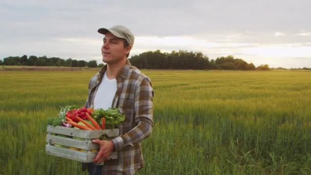 Farmer Vegetable Box Front Sunset Agricultural Landscape Man Countryside Field — Wideo stockowe