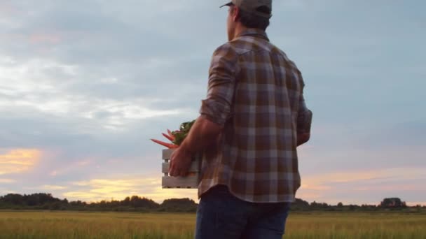 Gün Batımında Tarım Arazisinin Önünde Sebze Kutusu Olan Bir Çiftçi — Stok video