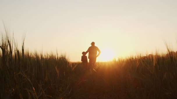Farmer His Son Front Sunset Agricultural Landscape Man Boy Countryside — Video