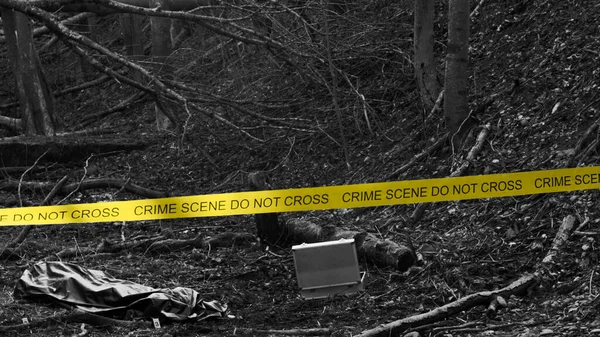 Detectives Collecting Evidence Crime Scene Forensic Specialists Making Expertise Professional — Stock Photo, Image