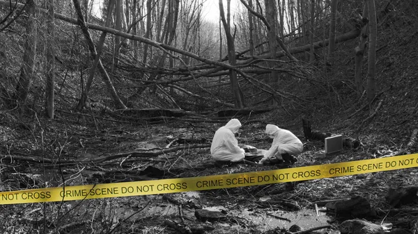 Detectives Collecting Evidence Crime Scene Forensic Specialists Making Expertise Professional — Foto de Stock