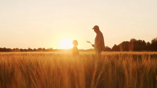 Farmer His Son Front Sunset Agricultural Landscape Man Boy Countryside — стокове фото