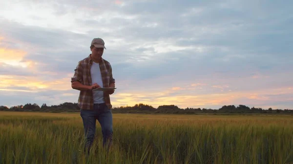 Günbatımı Tarım Manzarasının Önünde Tablet Bilgisayarlı Bir Çiftçi Kırsal Kesimde — Stok fotoğraf