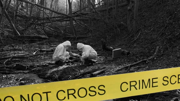 Detectives Collecting Evidence Crime Scene Forensic Specialists Making Expertise Professional — 스톡 사진