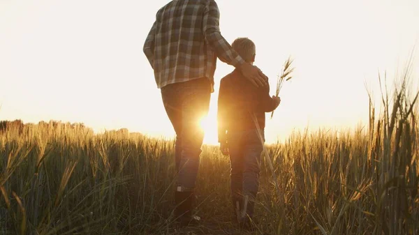 Farmer His Son Front Sunset Agricultural Landscape Man Boy Countryside — Foto Stock