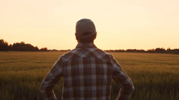 Farmer Front Sunset Agricultural Landscape Man Countryside Field Concept Country — Zdjęcie stockowe