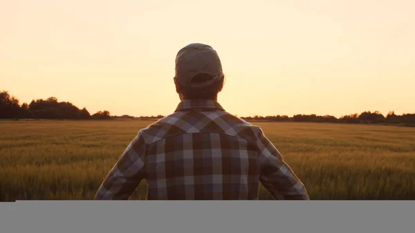 Farmer Front Sunset Agricultural Landscape Man Countryside Field Concept Country — Stok fotoğraf
