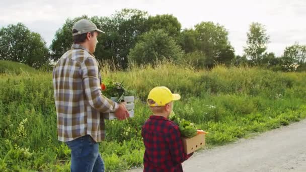 Lantbrukare Och Son Med Grönsakslådor Jordbrukslandskapet Man Och Pojke Landsbygden — Stockvideo