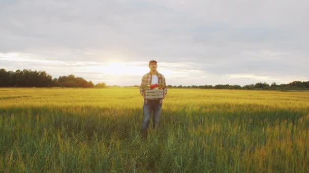 Farmer Vegetable Box Front Sunset Agricultural Landscape Man Countryside Field — Vídeo de Stock