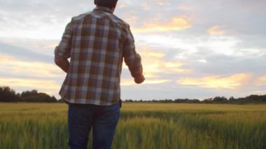 Günbatımı tarımının önündeki çiftçi. Kırsal kesimde bir adam. Kır hayatı, gıda üretimi, tarım ve kırsal yaşam tarzı kavramı.