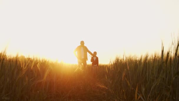 Farmer His Son Front Sunset Agricultural Landscape Man Boy Countryside — Stock Video