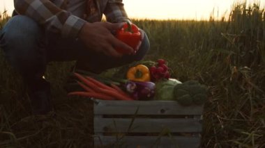 Farmer in front of a sunset agricultural landscape. Man in a countryside field. The concept of country life, food production, farming and country lifestyle.