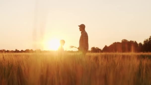 Farmer His Son Front Sunset Agricultural Landscape Man Boy Countryside — Vídeo de Stock