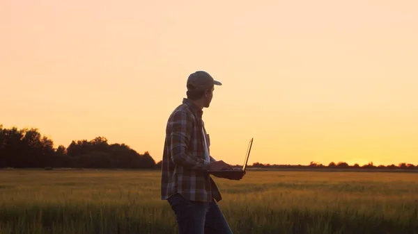 Farmer Laptop Computer Front Sunset Agricultural Landscape Man Countryside Field — Fotografia de Stock
