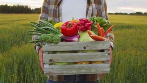 Farmer Vegetable Box Front Sunset Agricultural Landscape Man Countryside Field — 图库视频影像