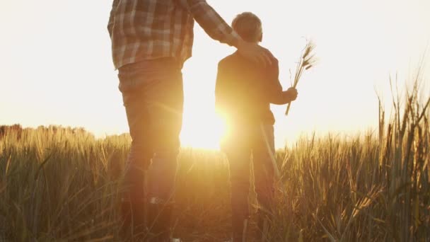 Farmer His Son Front Sunset Agricultural Landscape Man Boy Countryside — 图库视频影像