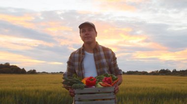 Gün batımında tarım arazisinin önünde sebze kutusu olan bir çiftçi. Kırsal kesimde bir adam. Kır hayatı, gıda üretimi, tarım ve kırsal yaşam tarzı kavramı.