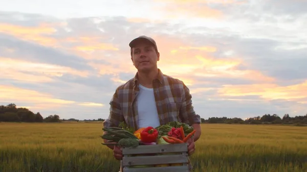 Farmer Vegetable Box Front Sunset Agricultural Landscape Man Countryside Field — 스톡 사진