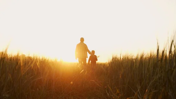 Boer Zijn Zoon Voor Een Zonsondergang Agrarisch Landschap Man Een — Stockfoto