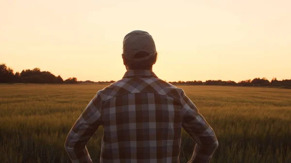 Farmer Front Sunset Agricultural Landscape Man Countryside Field Concept Country — Foto de Stock