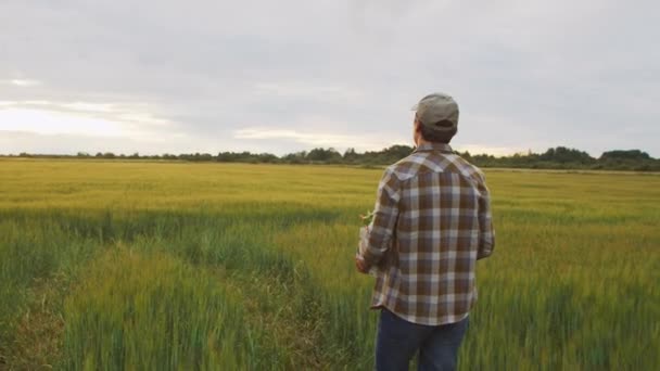 Farmer Vegetable Box Front Sunset Agricultural Landscape Man Countryside Field — Stok video