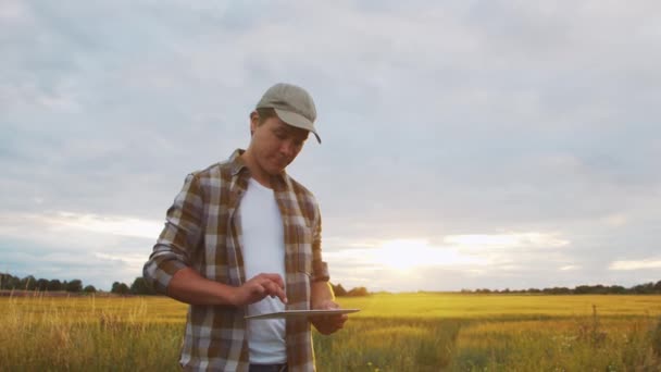 Farmer Tablet Computer Front Sunset Agricultural Landscape Man Countryside Field — Stockvideo