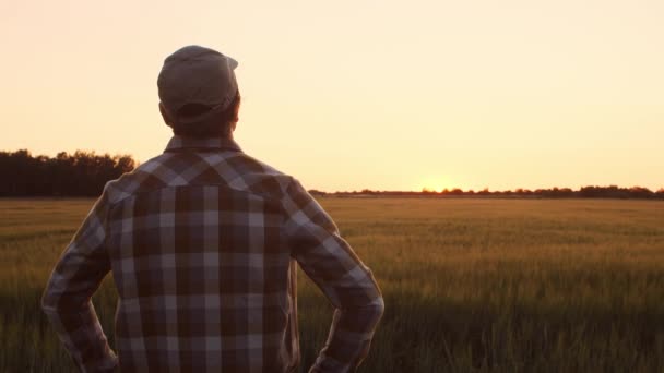 Farmer Front Sunset Agricultural Landscape Man Countryside Field Concept Country — Stok video