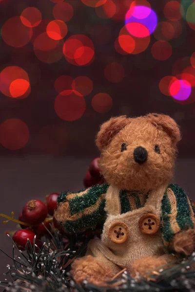 Arrangement de Noël avec un ours en peluche — Photo