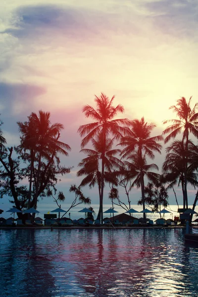 Coucher de soleil sur un littoral avec des palmiers — Photo