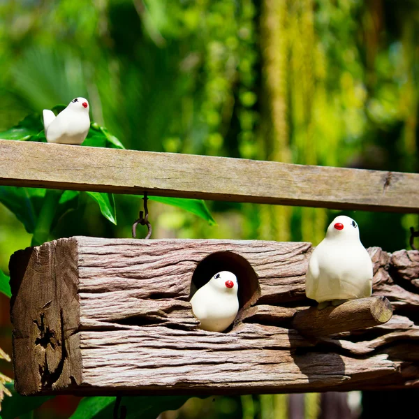 Birds in a village — Stock Photo, Image