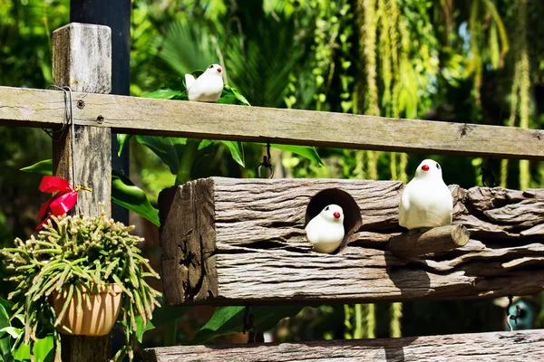 Fugler i en landsby – stockfoto
