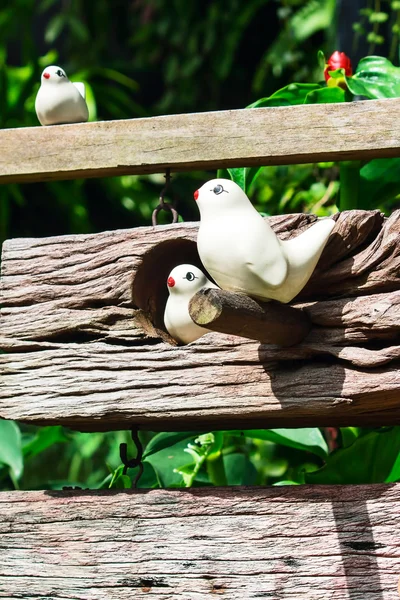 Birds in a village — Stock Photo, Image