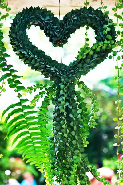 Coração verde — Fotografia de Stock