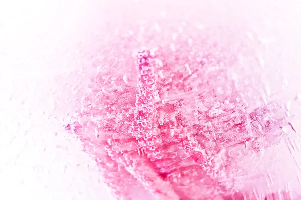 Rosa abstracta en el hielo — Foto de Stock