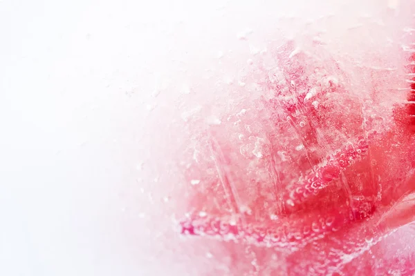 Rosa astratta nel ghiaccio — Foto Stock