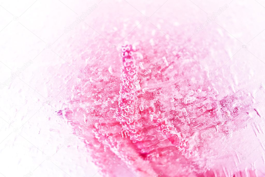 Abstract rose in ice