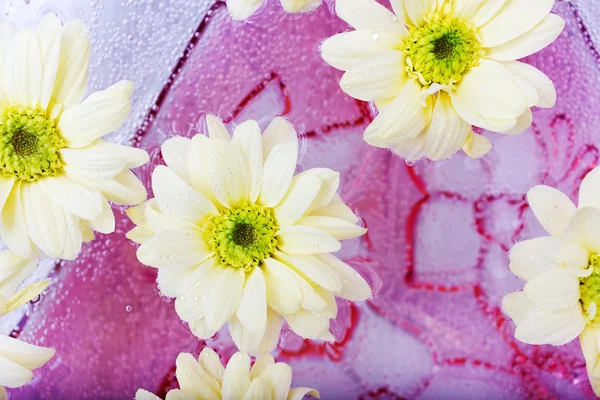 Fleurs jaunes dans l'eau, fond de spa — Photo