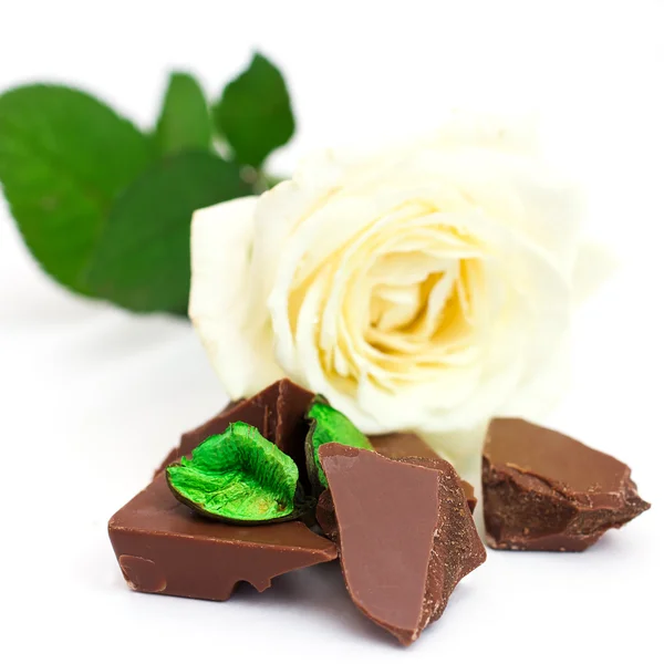 Pedazos de barra de chocolate con rosa blanca — Foto de Stock