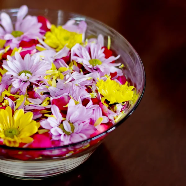 Tigela com flores de crisântemo — Fotografia de Stock