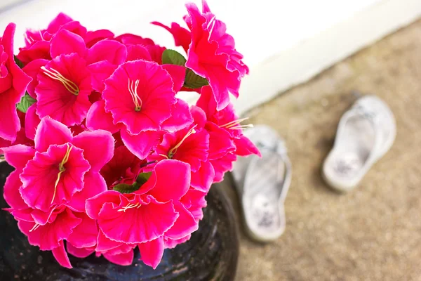 Różowe kwiaty w pobliżu wejścia z sandały — Zdjęcie stockowe