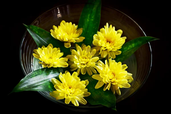 Composizione floreale gialla — Foto Stock