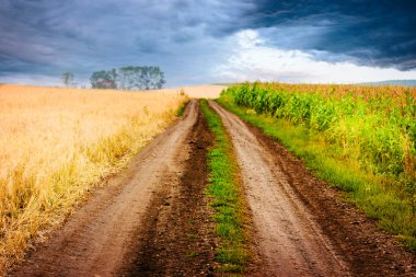 iki alan arasındaki yol ile kırsal manzara.