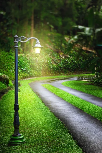 Magic lantern near road in forest — Stock Photo, Image