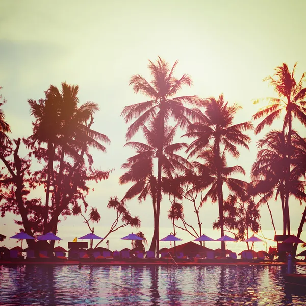 Plage tropicale. Effet instagram vintage . — Photo