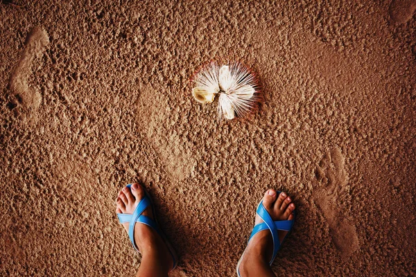 Playa tropical, patas en arena . — Foto de Stock